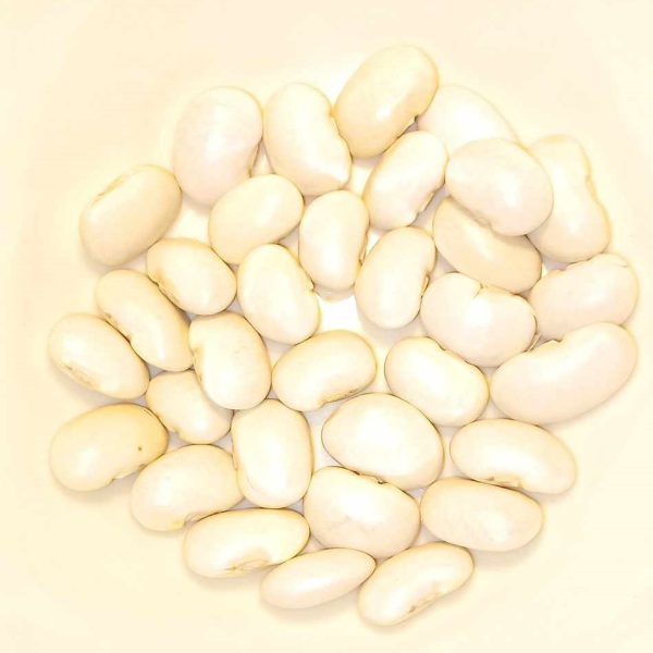 White bean Johnny, Phaseolus coccineus