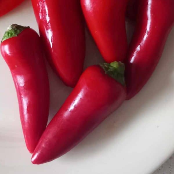 Chenzo, Capsicum Annuum