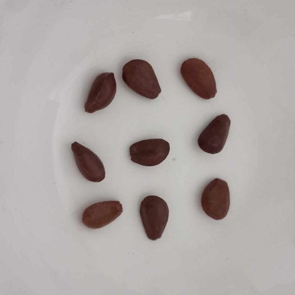 Cherimoya seeds, Annona cherimola