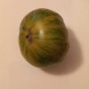 Muddy waters, Solanum lycopersicum - Image 2