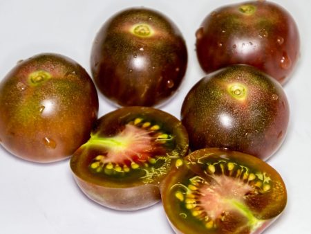 Azteca negro, Solanum lycopersicum